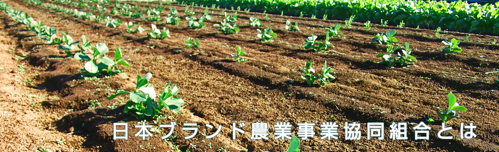 JBAC 日本ブランド農業事業共同組合について